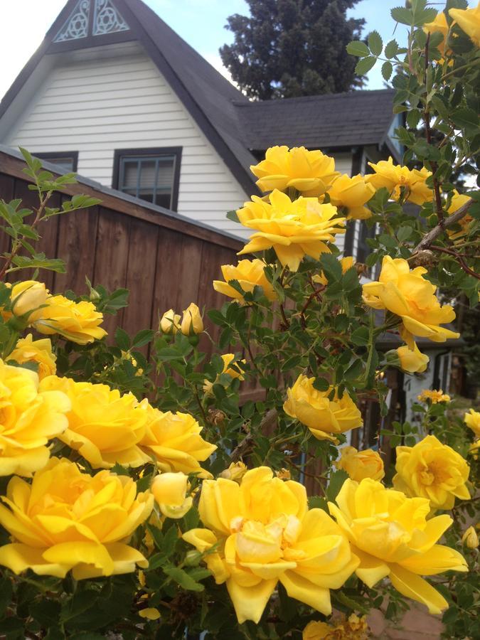 Hooper Homestead Bed And Breakfast Central  City Luaran gambar